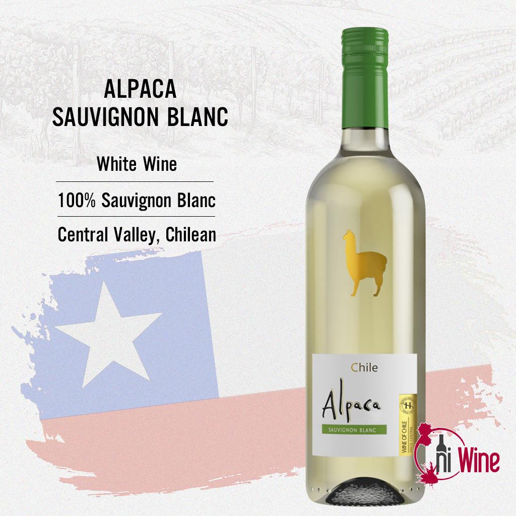 Các loại rượu vang nổi tiếng từ Pháp, Ý và Chile trên bàn ăn sang trọng