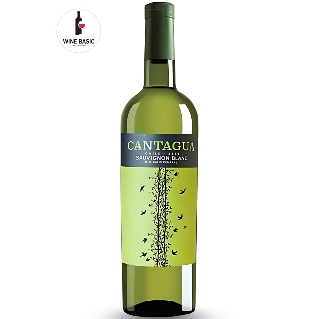 Rượu Vang Cantagua Sauvignon Blanc