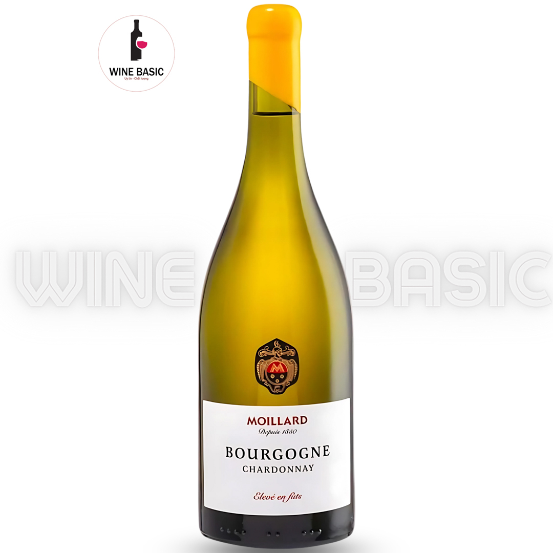 Rượu Vang Moillard Bourgogne Chardonnay Eleve En Futs