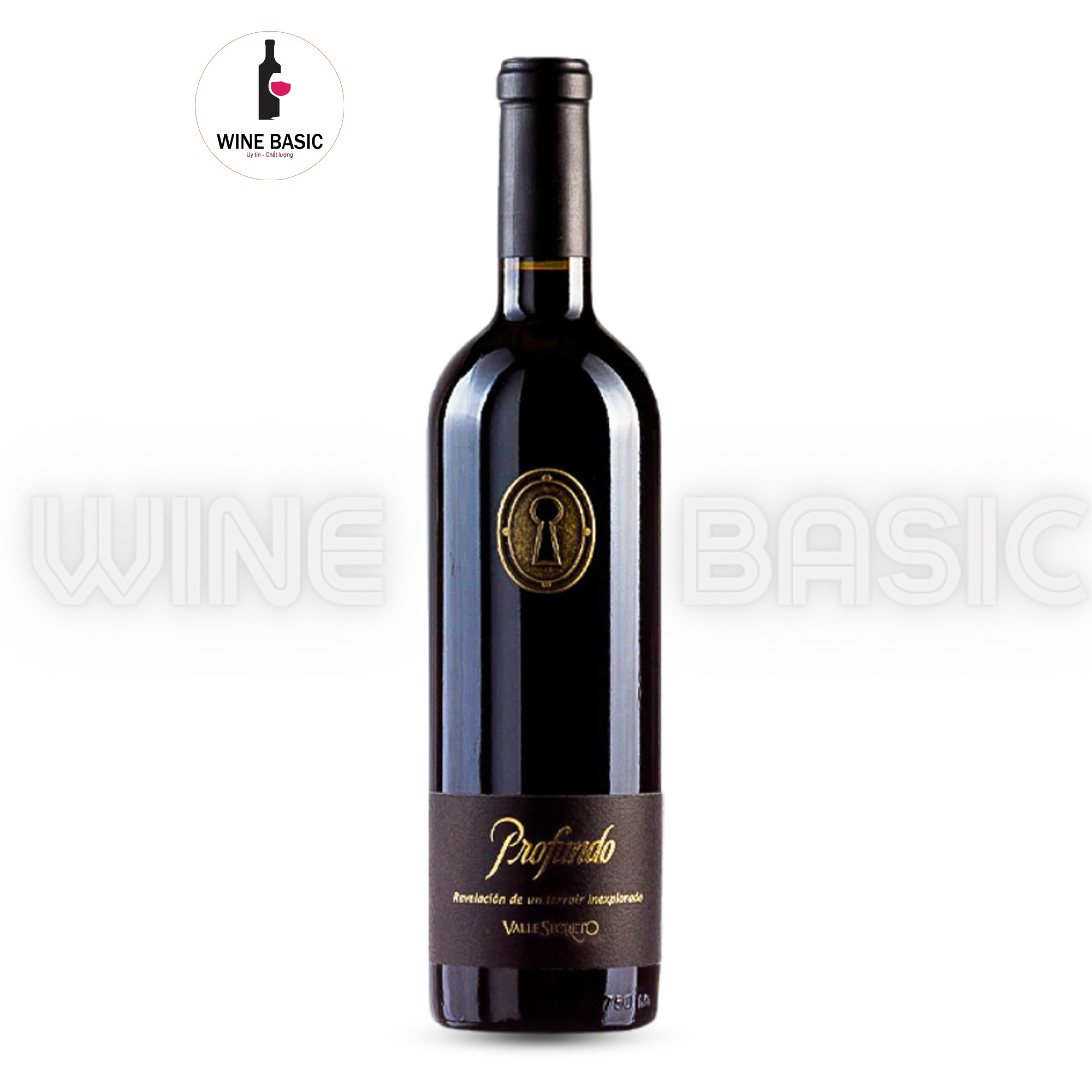 Rượu Vang Profundo Valle Secreto