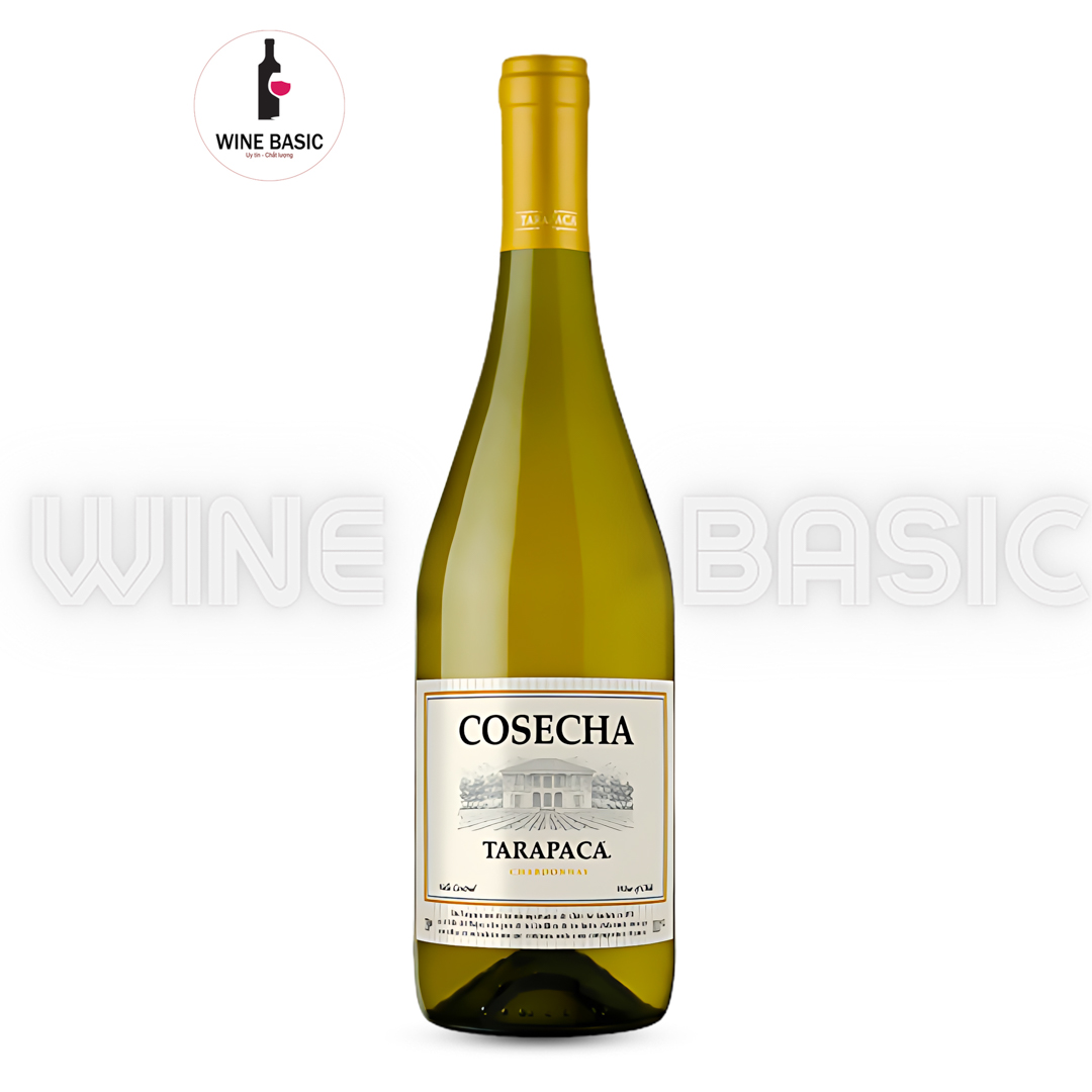 Rượu Vang Tarapaca Cosecha Chardonnay 1 Rượu Vang Tarapaca Cosecha Chardonnay