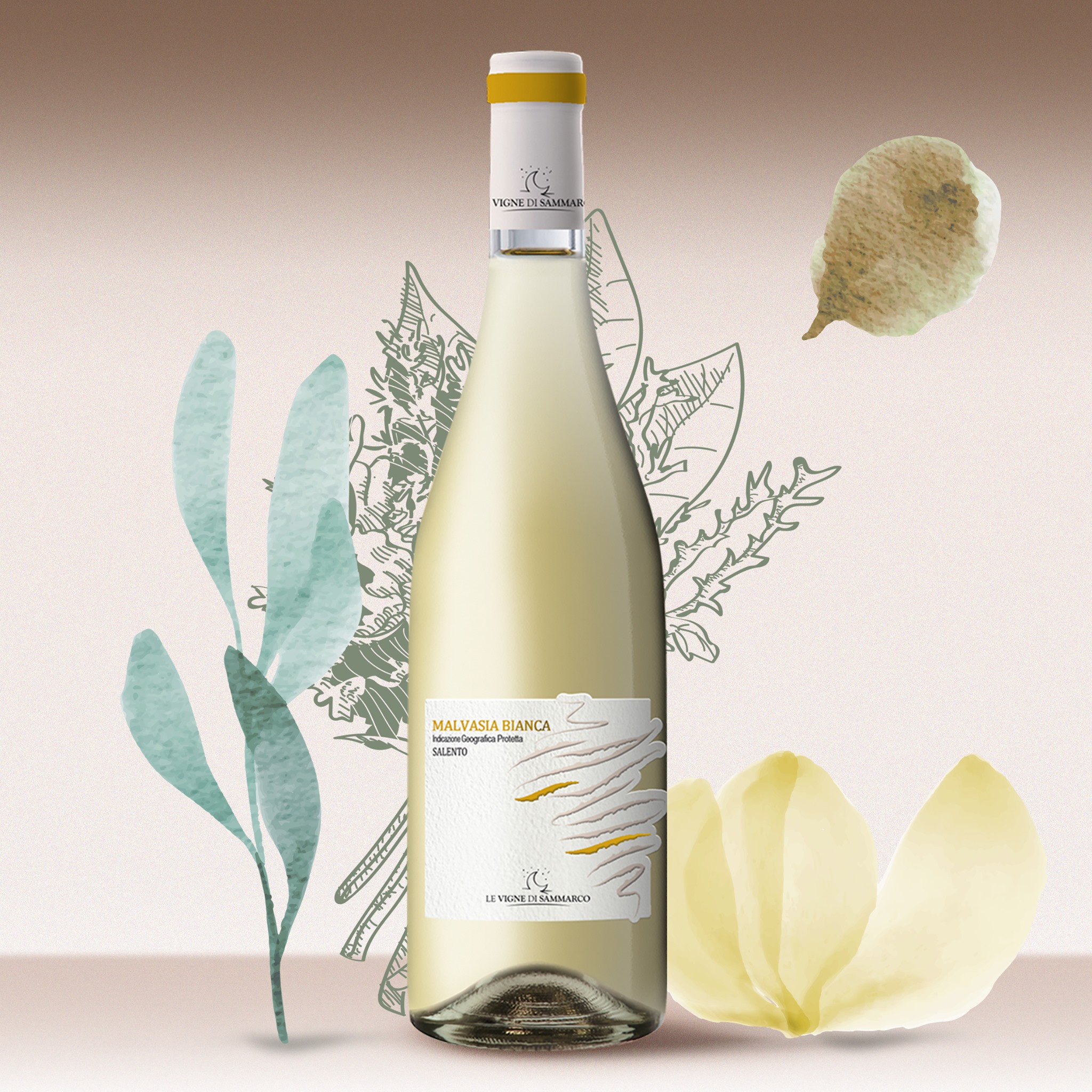 Rượu Vang Malvasia Bianca