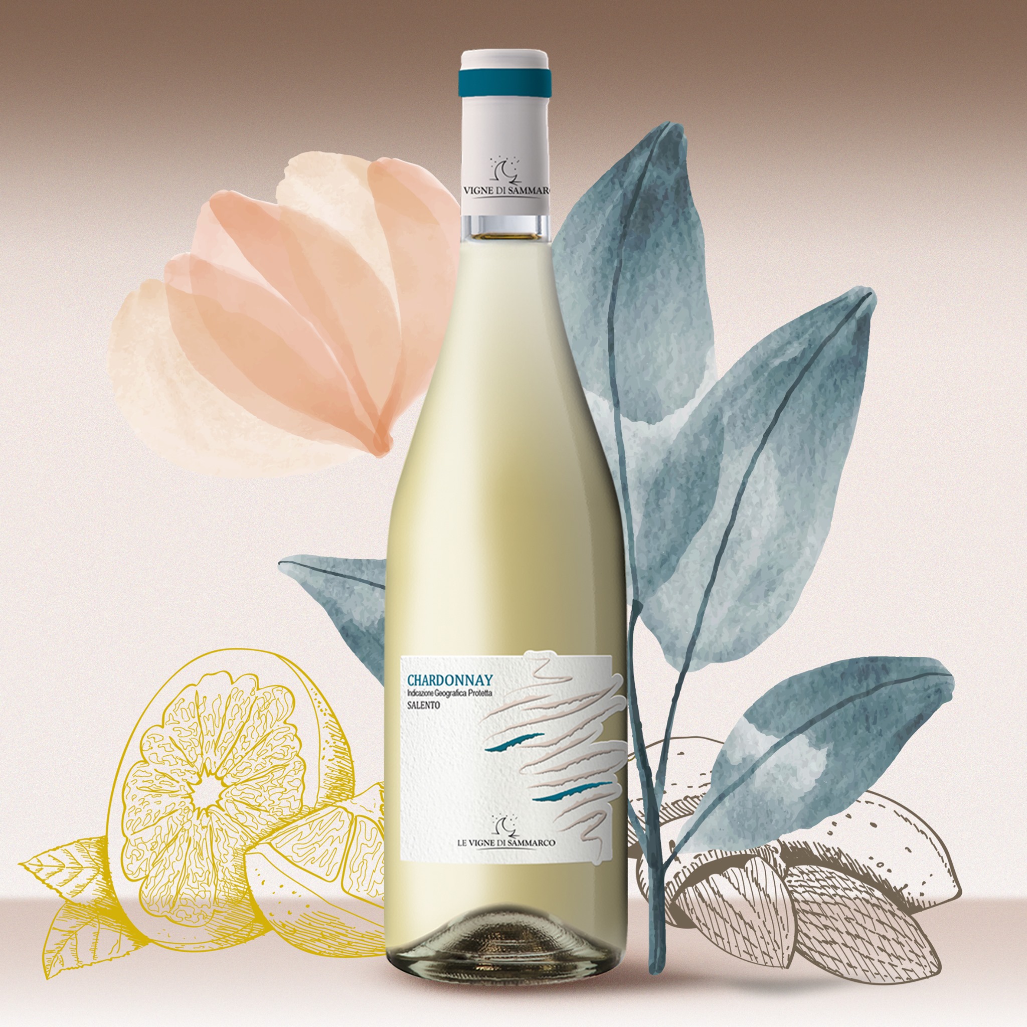 Rượu Vang Chardonnay Salento Le Vigne Di Sammarco