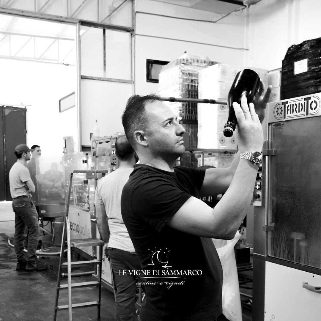 Le Vigne Di Sammarco