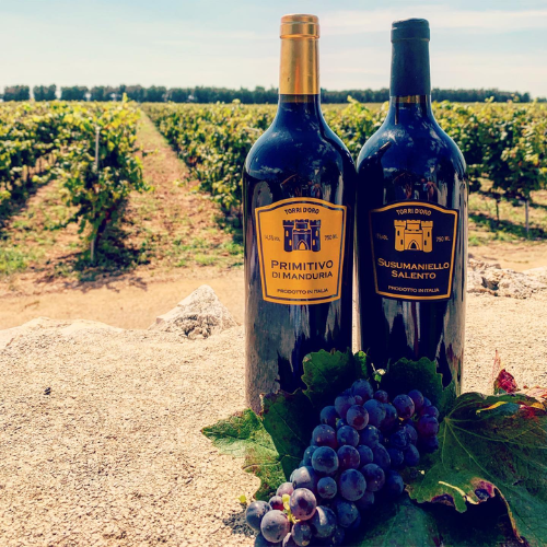 Rượu Vang TORRI D'ORO Susumaniello Salento 3 Rượu Vang TORRI D'ORO Susumaniello Salento