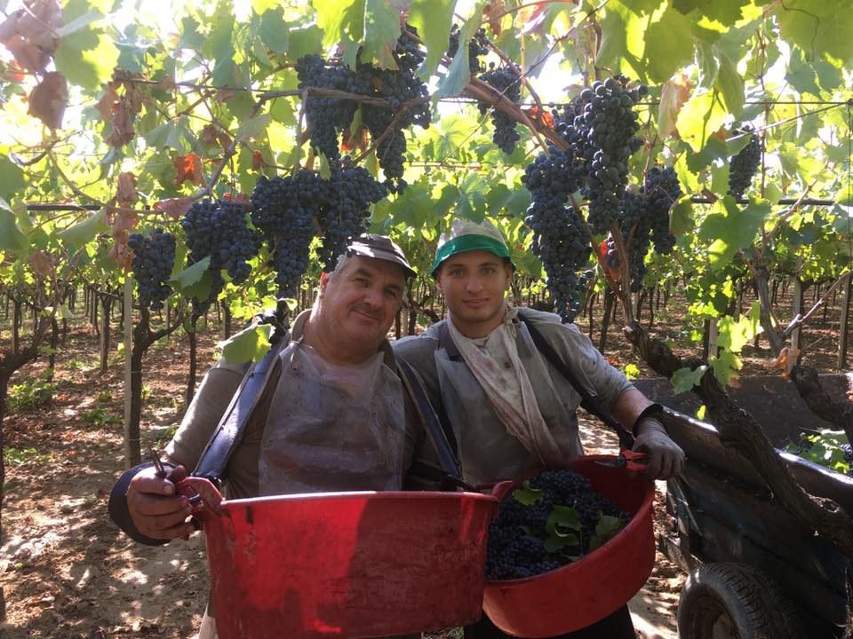 Nhà Sản Xuất Rượu Vang Paradiso