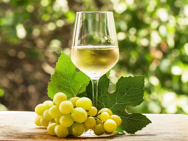Nho Moscato