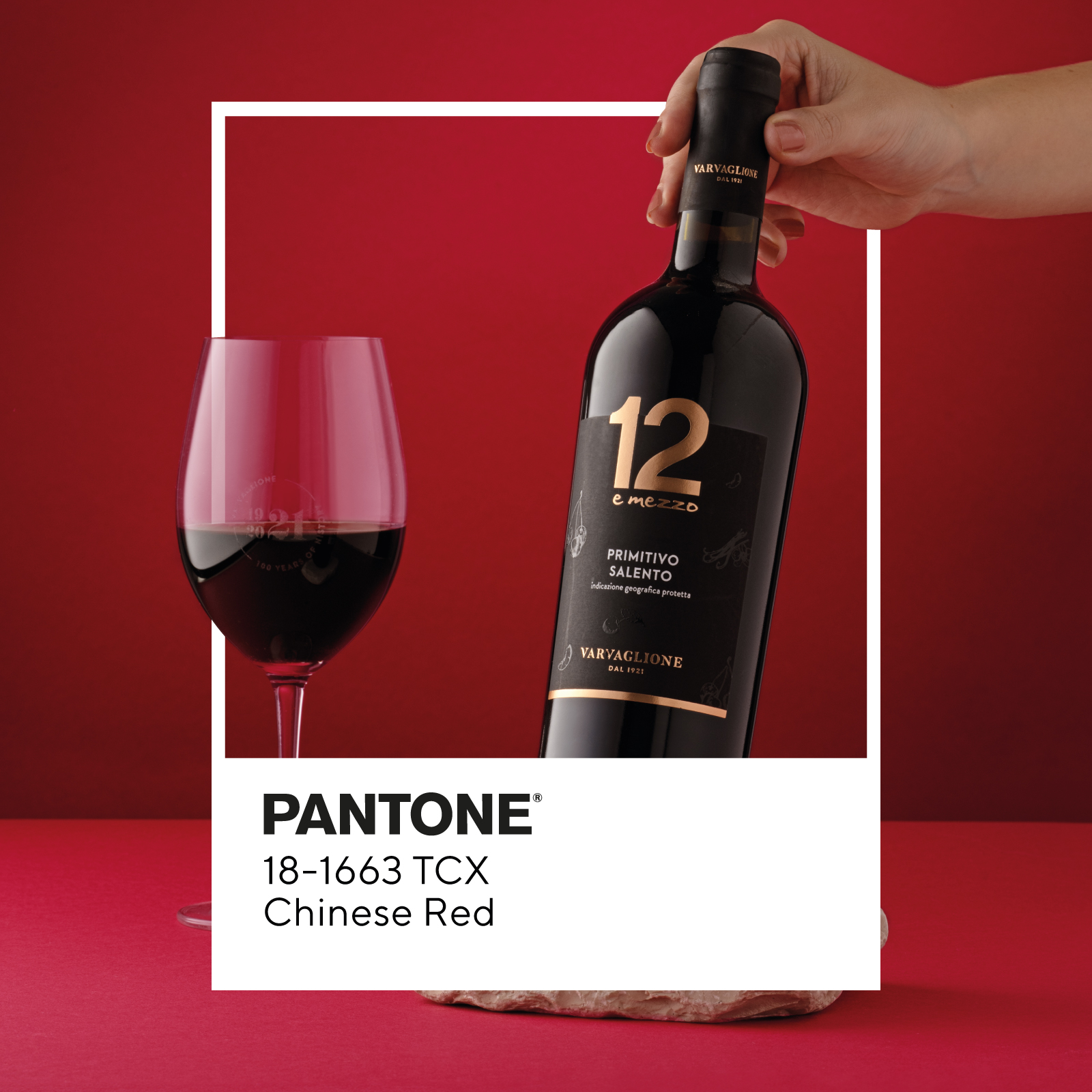 Rượu Vang 12 E Mezzo Primitivo Del Salento