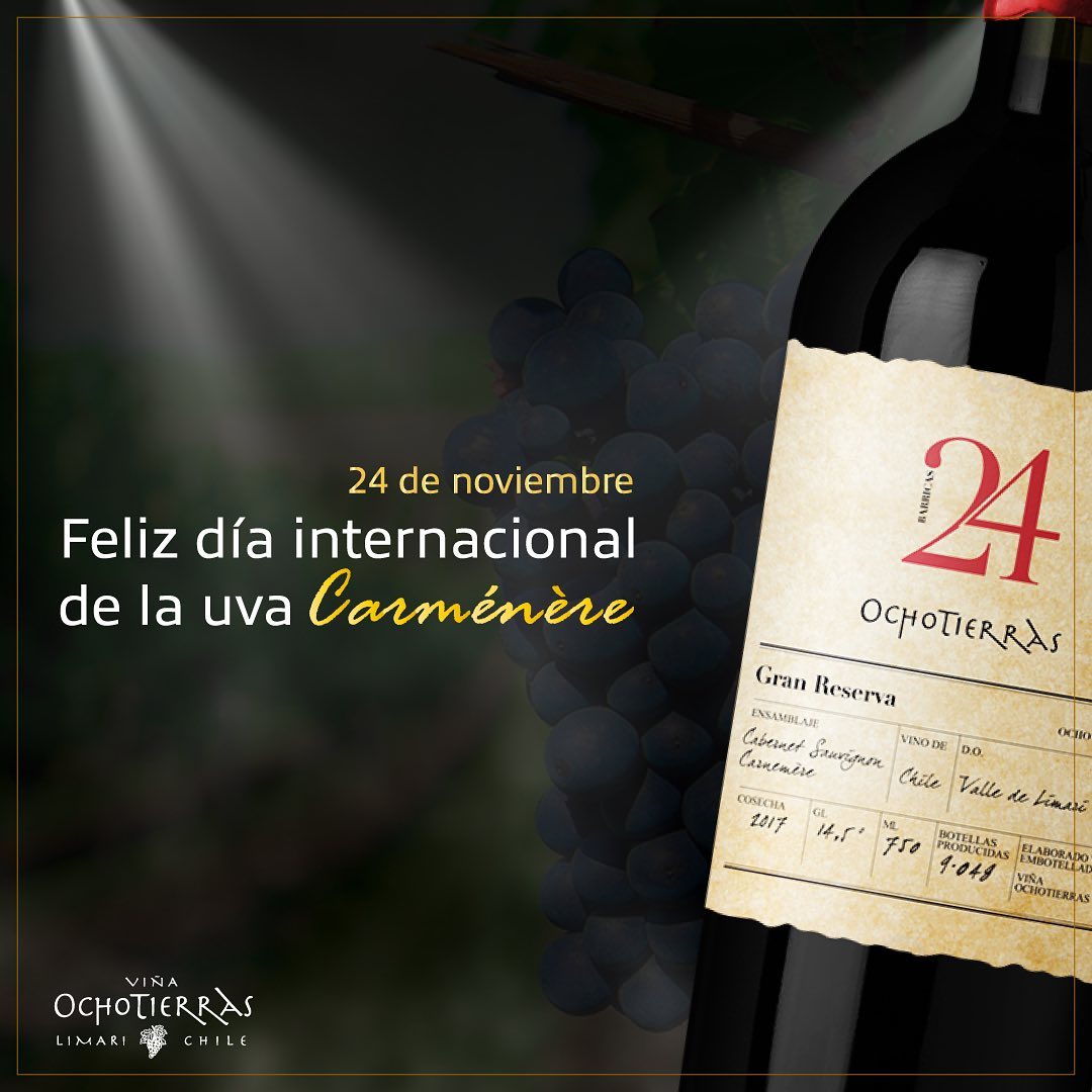 Rượu Vang 24 Ochotierras Gran Reserva 4 ruou vang 24 ochotierras gran reserva 2