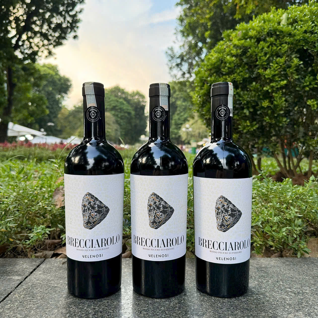 Rượu Vang Brecciarolo Rosso Piceno Superiore Velenosi 2 Rượu Vang Brecciarolo Rosso Piceno Superiore Velenosi