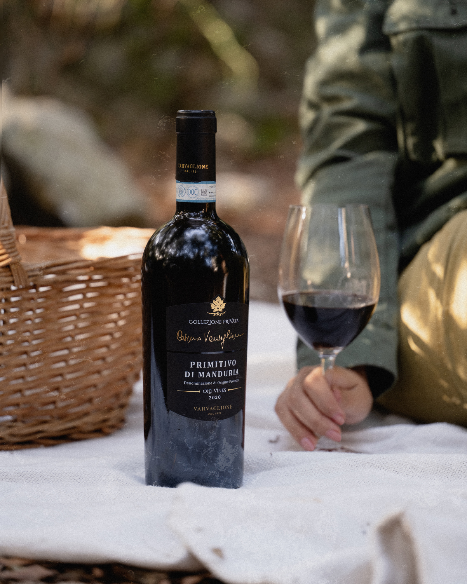 Rượu Vang Collezione Privata Primitivo Di Manduria 2 Rượu Vang Collezione Privata Primitivo Di Manduria