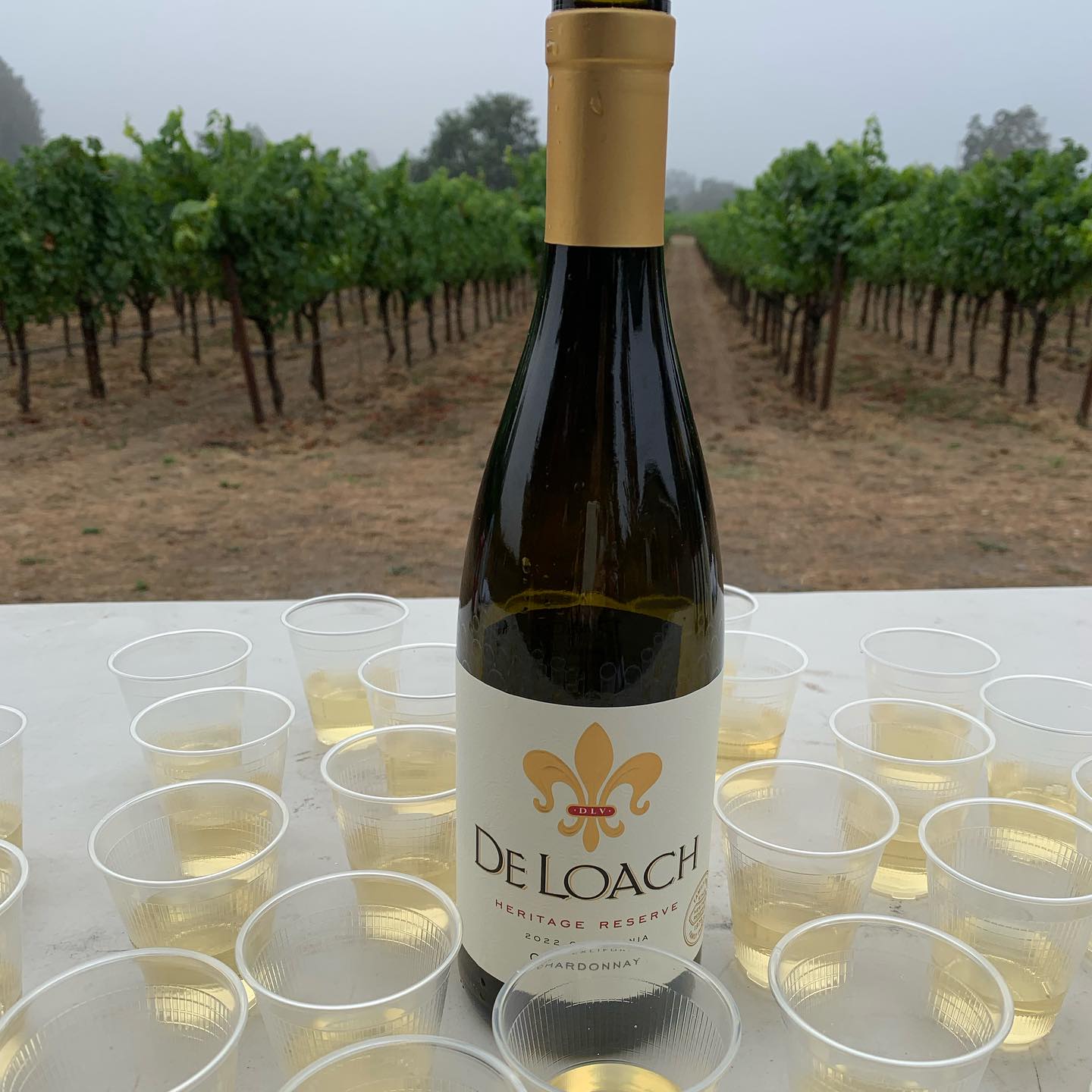 Rượu Vang DeLoach Heritage Reserve Chardonnay 1 Rượu Vang DeLoach Heritage Reserve Chardonnay