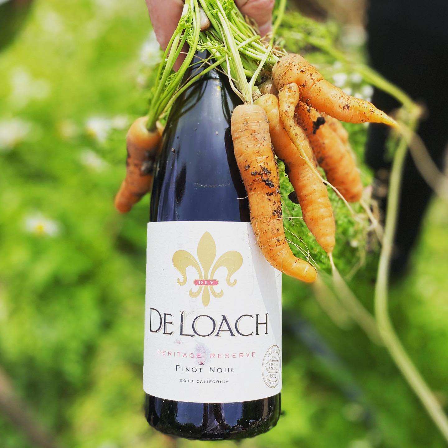 Rượu Vang DeLoach Heritage Reserve Pinot Noir