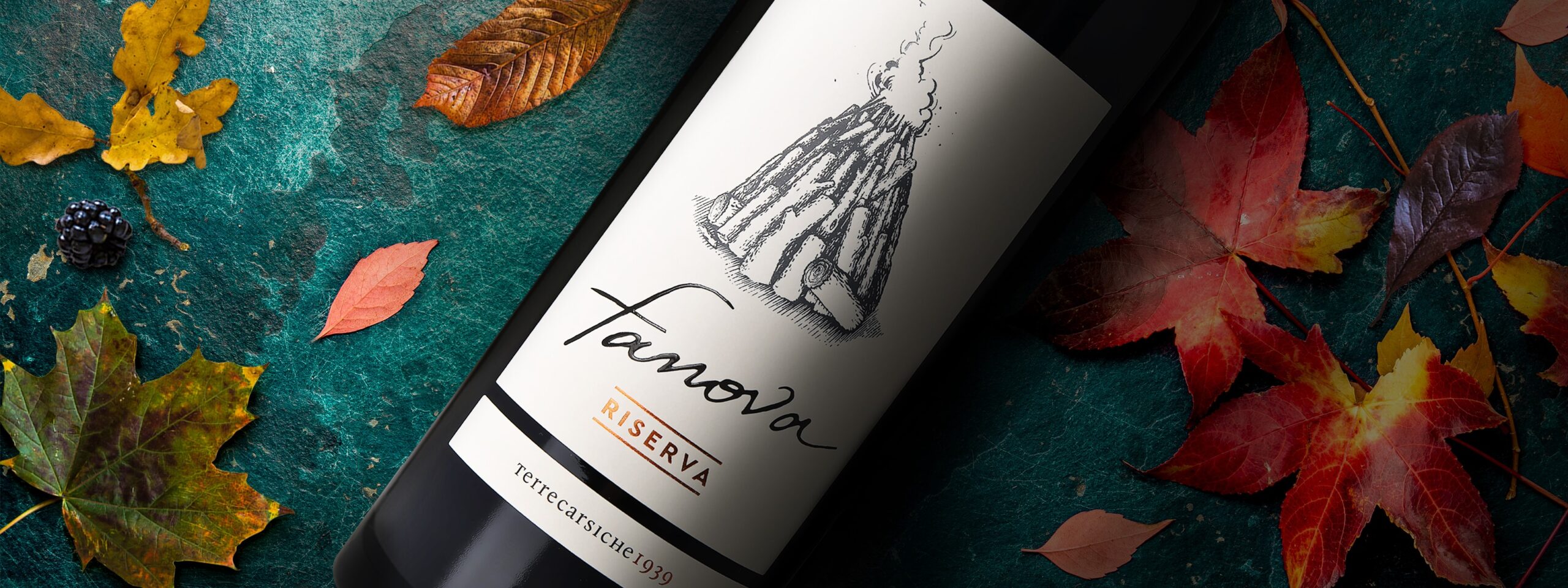 Rượu Vang Fanova Primitivo Gioia Del Colle DOC 1 Rượu Vang Fanova Primitivo Gioia Del Colle DOC