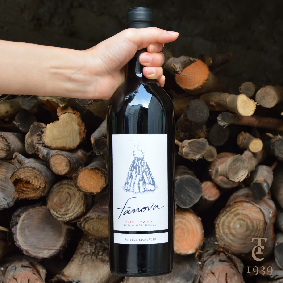 Rượu Vang Fanova Primitivo Gioia Del Colle DOC 3 Rượu Vang Fanova Primitivo Gioia Del Colle DOC