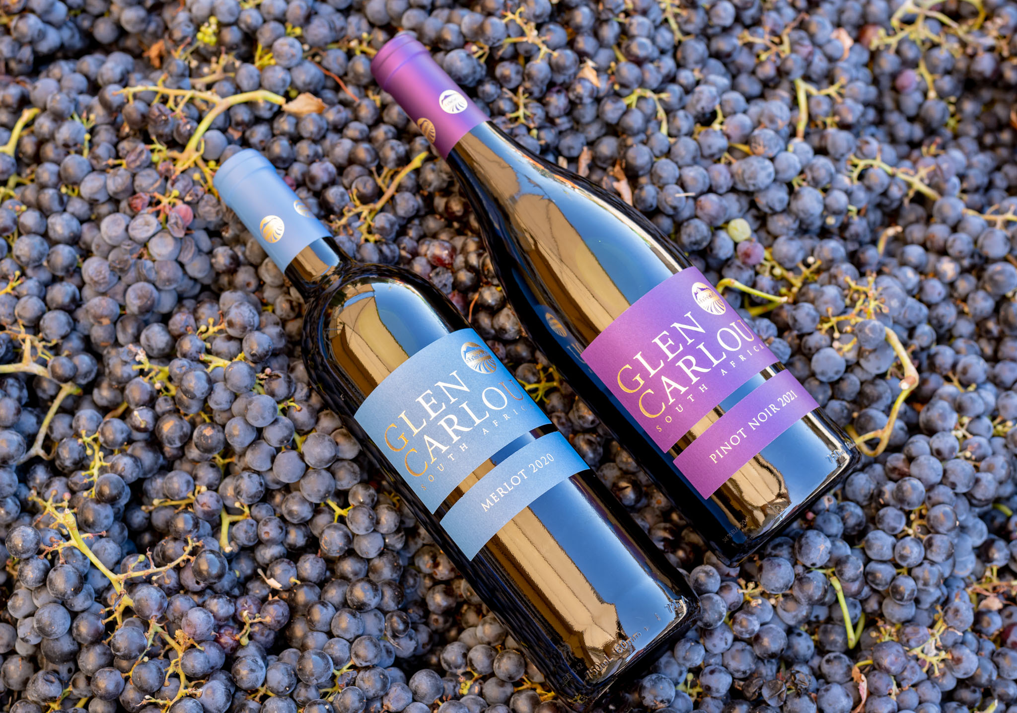Rượu Vang Glen Carlou Pinot Noir 1 Rượu Vang Glen Carlou Pinot Noir