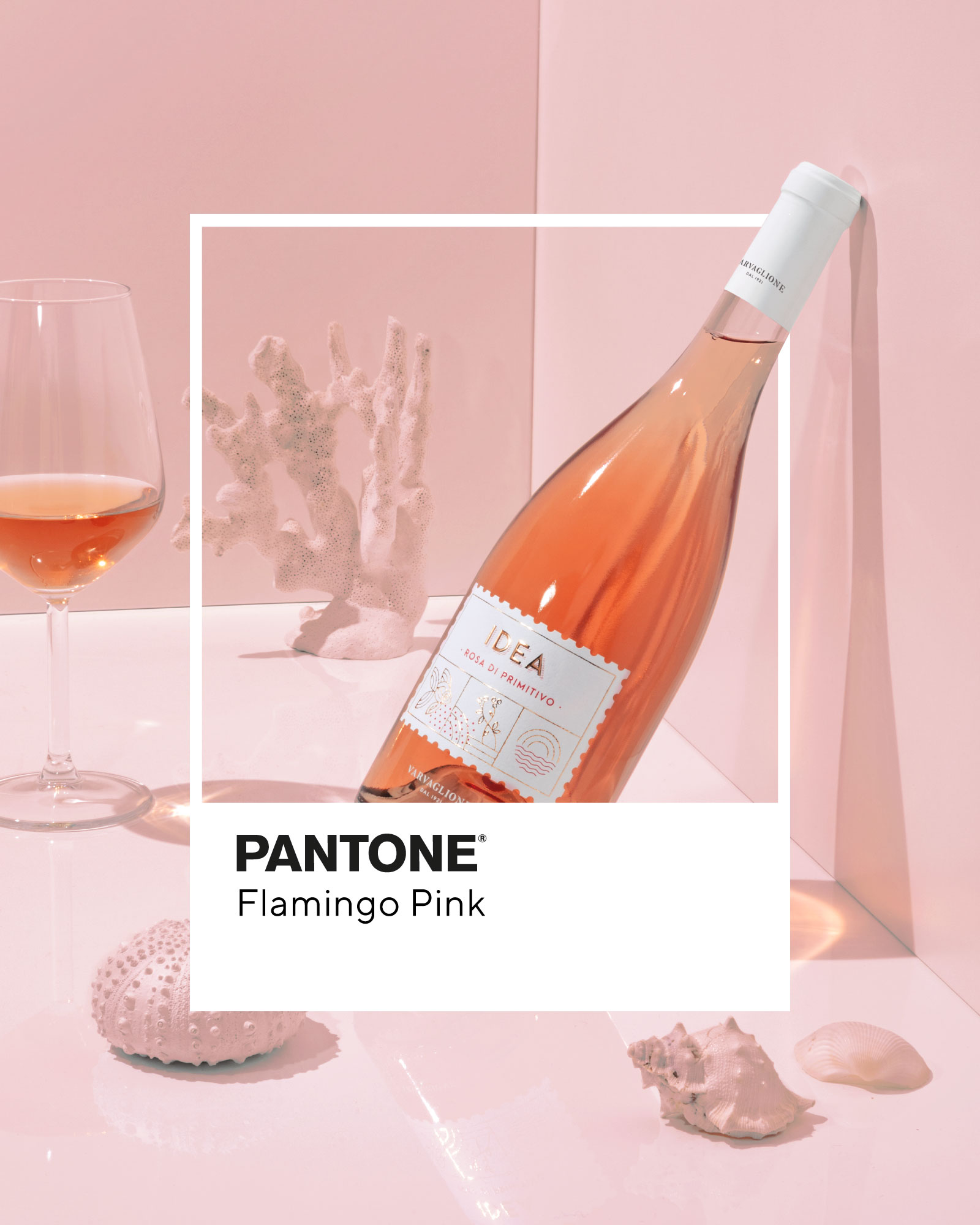 Rượu Vang Idea Rosa Di Primitivo 3 Rượu Vang Idea Rosa Di Primitivo