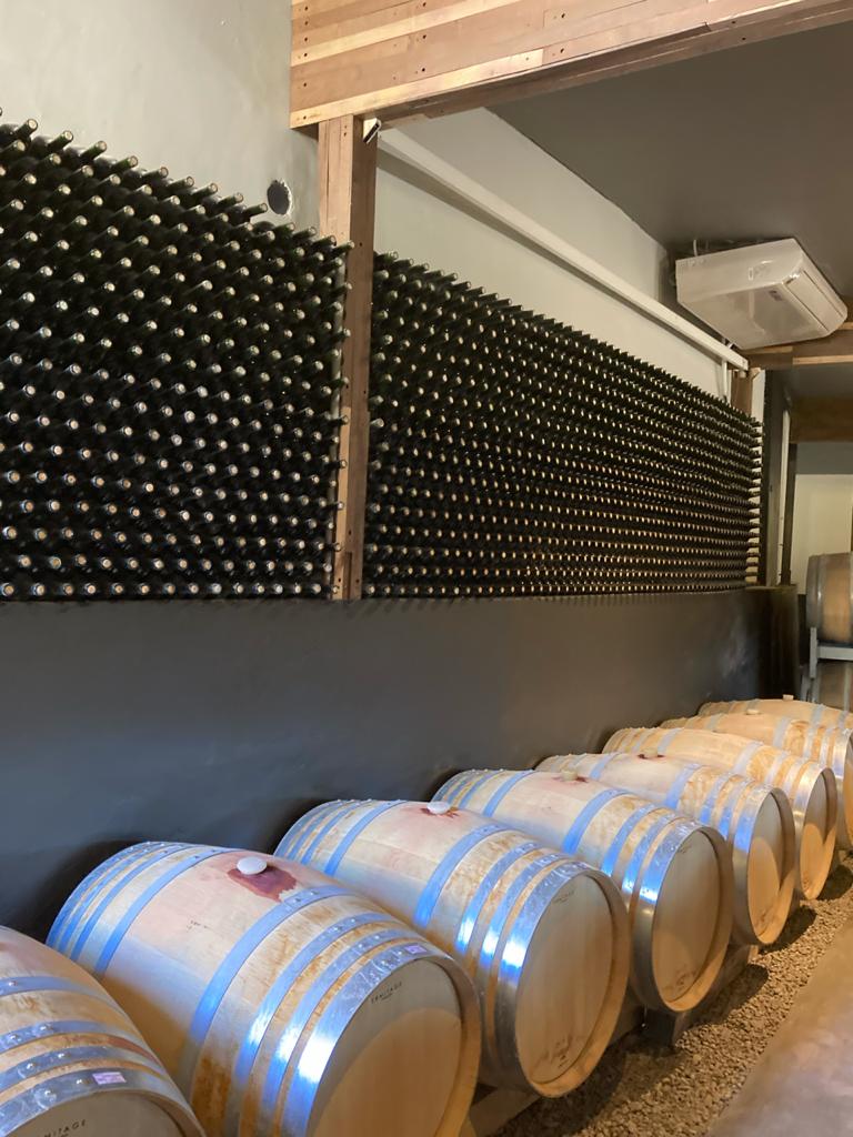 Rượu Vang 10 Ochotierras Gran Reserva Syrah 2 ruou vang ochotierras duoc u trong thung go soi