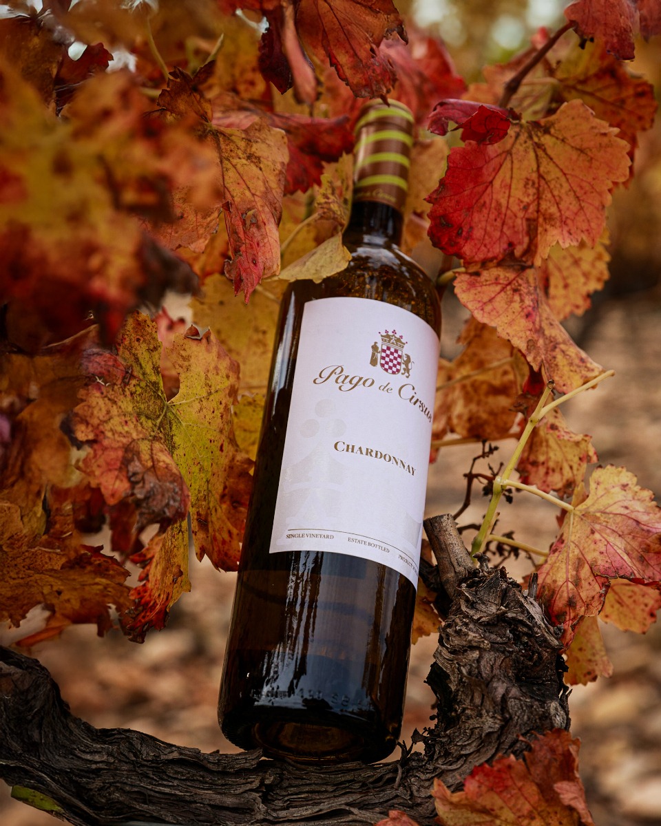 Rượu Vang Pago de Cirsus Chardonnay