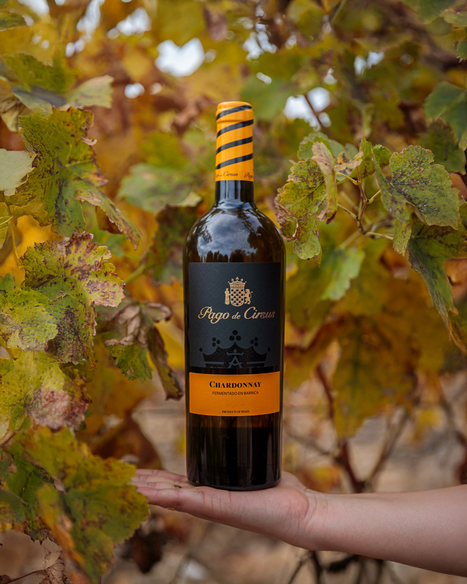 Rượu Vang Pago de Cirsus Chardonnay Fermentado en Barrica