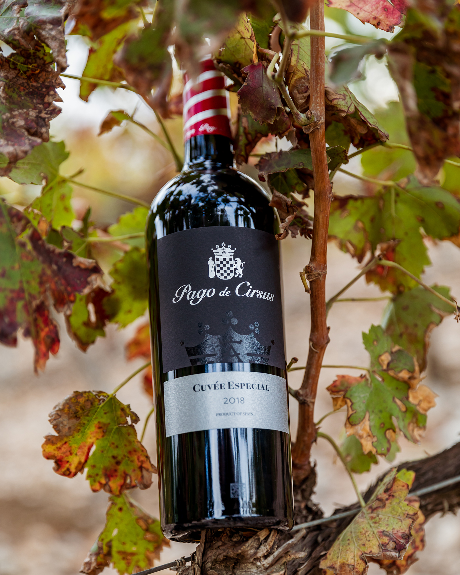 Rượu Vang Pago de Cirsus Cuvee Especial