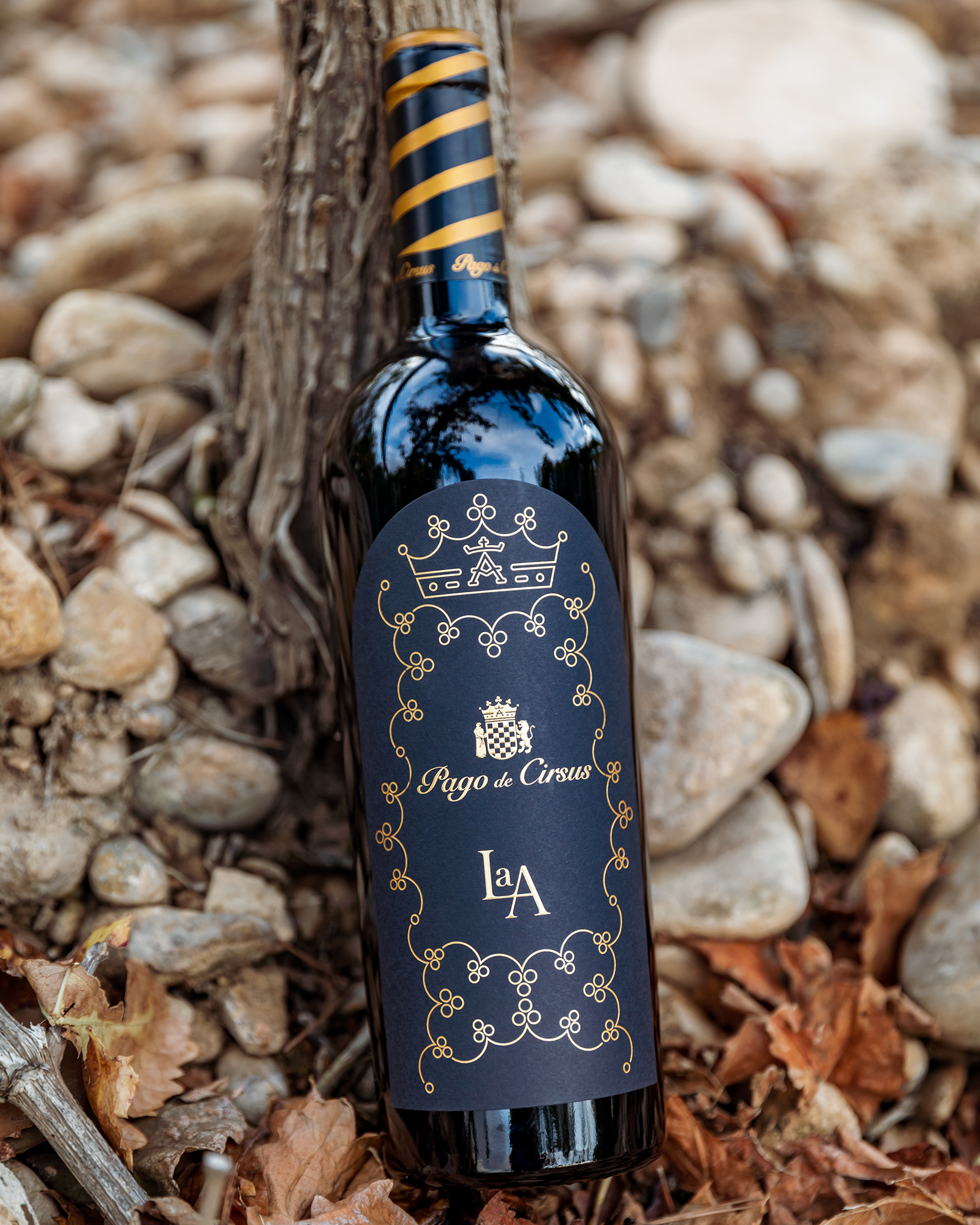 Rượu Vang Pago de Cirsus La A 1 Rượu Vang Pago de Cirsus La A