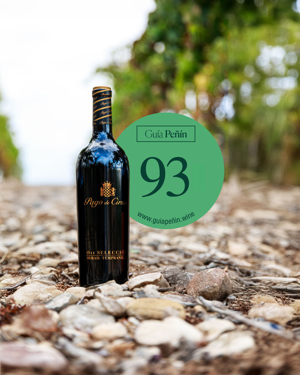 Rượu Vang Pago de Cirsus O11 Seleccion
