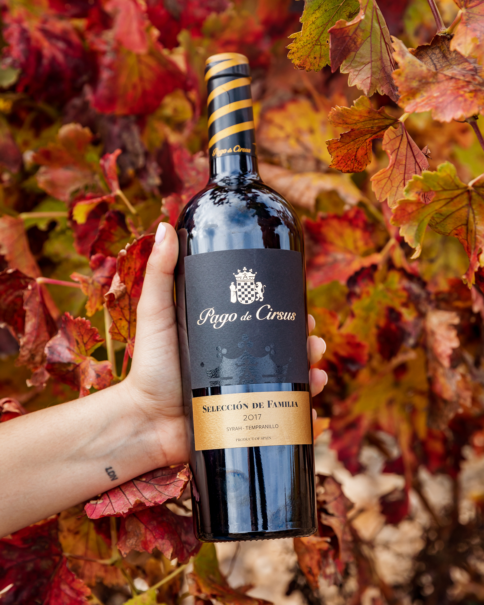 Rượu Vang Pago de Cirsus Seleccion de Familia