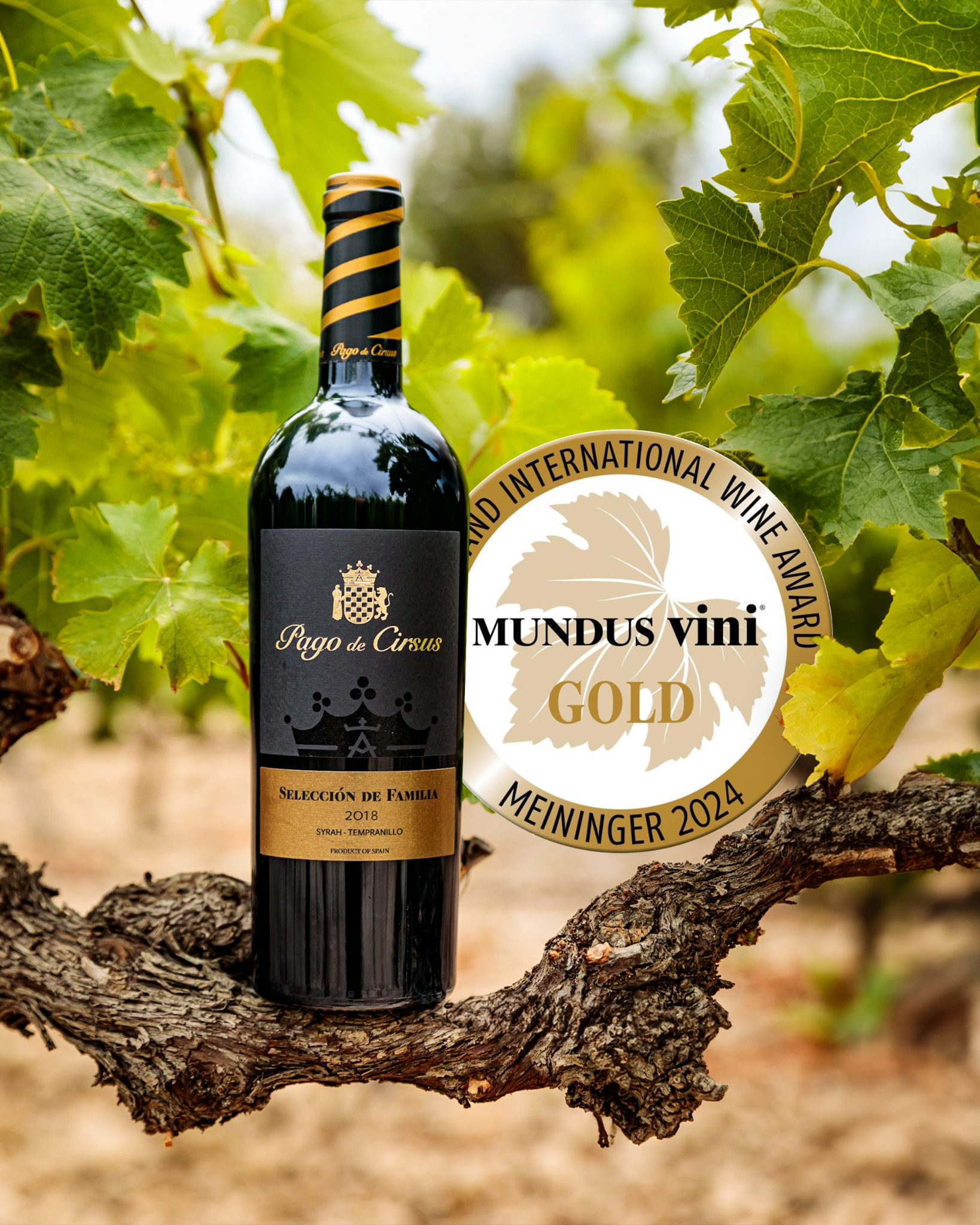 Rượu Vang Pago de Cirsus Seleccion de Familia