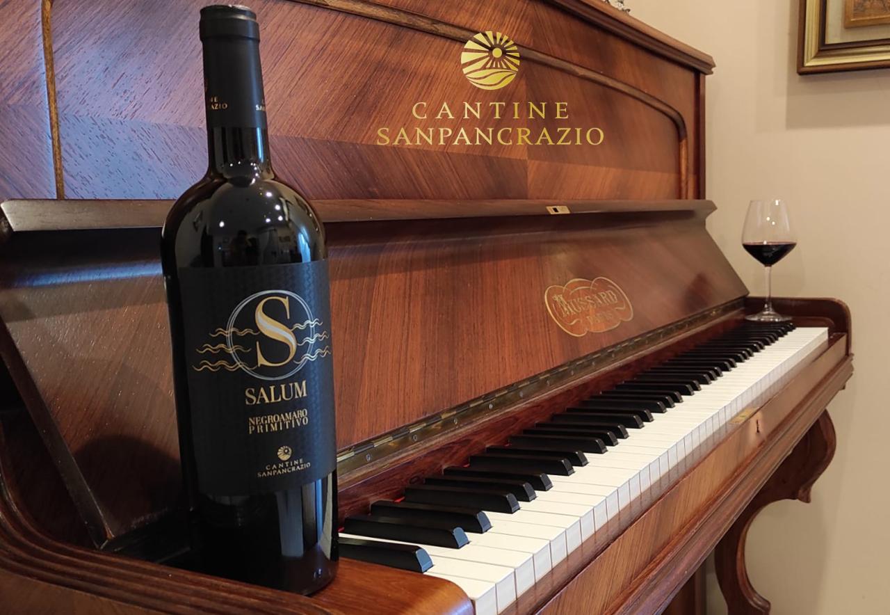 Rượu Vang Salum S Negroamaro Primitivo
