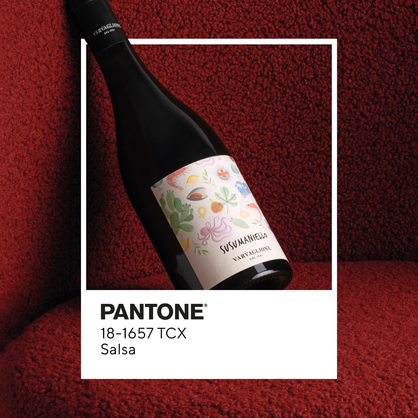 Rượu Vang Susumaniello Varvaglione