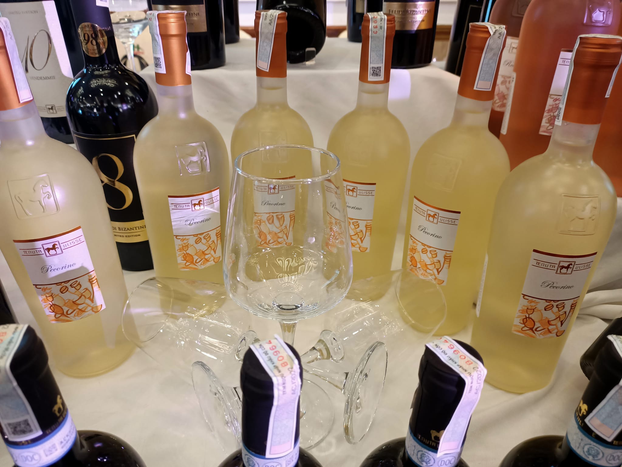 Rượu Vang Ulisse Premium Pecorino