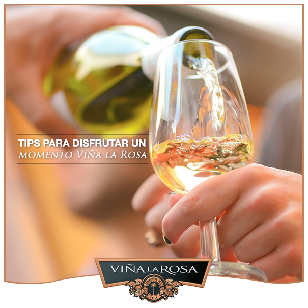 Thưởng thức rượu vang trắng La Palma Chardonnay